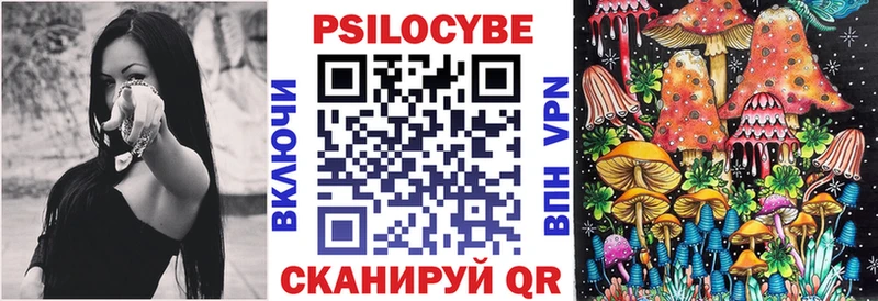 hydra вход  цена   Ессентукская  Псилоцибиновые грибы Psilocybine cubensis 