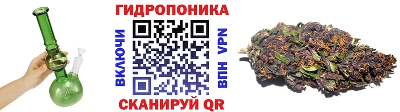 Марихуана ГИДРОПОН Ессентукская